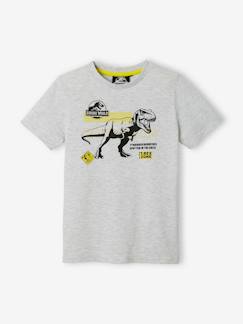 Jungenkleidung-Shirts, Poloshirts & Rollkragenpullover-Shirts-Kinder T-Shirt JURASSIC WORLD