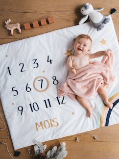 Spielzeug-Baby-Baby Meilenstein-Decke, Fotohintergrund