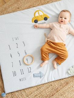 Baby Meilenstein-Decke aus Musselin SIMONS AUTO, personalisierbar -  - [numero-image]