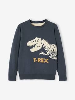 Jungenkleidung-Pullover, Strickjacken, Sweatshirts-Pullover-Jungen Pullover, T-Rex Oeko Tex®