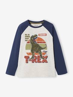 Jungenkleidung-Shirts, Poloshirts & Rollkragenpullover-Shirts-Jungen Shirt, Raglanärmel Oeko Tex®