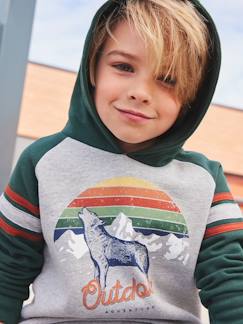 Jungenkleidung-Pullover, Strickjacken, Sweatshirts-Jungen Kapuzensweatshirt, Kontrastärmel