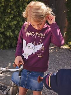 Maedchenkleidung-Pullover, Strickjacken & Sweatshirts-Sweatshirts-Kinder Sweatshirt HARRY POTTER