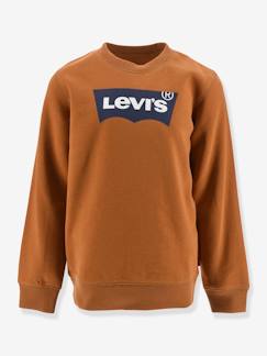 Jungenkleidung-Pullover, Strickjacken, Sweatshirts-Jungen Sweatshirt BATWING CREWNECK Levi's