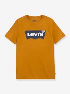 Jungenkleidung-Jungen T-Shirt BATWING Levi's