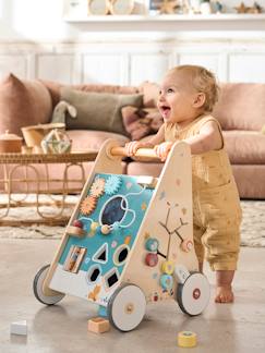 Spielzeug-Baby-Schaukeltiere, Lauflernwagen, Lauflernhilfe & Rutschfahrzeuge-Activity-Lauflernwagen mit Bremsen, Holz FSC®