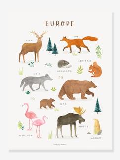 Dekoration & Bettwäsche-Dekoration-Bilder, Poster & Sonstiges-Kinderzimmer Poster LIVING EARTH Europa LILIPINSO