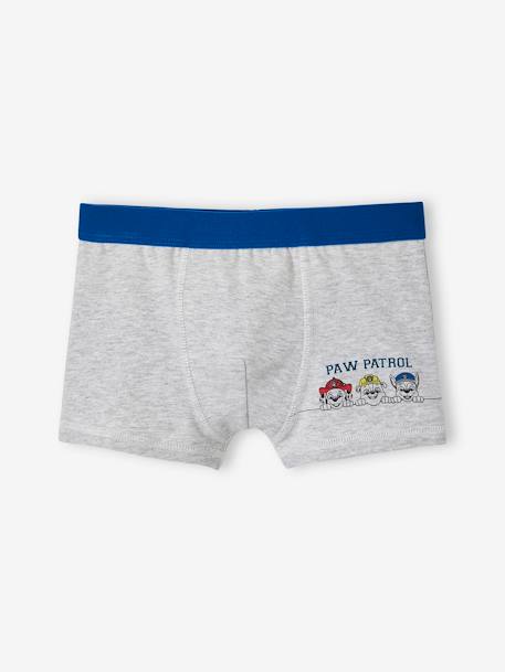 3er-Pack Jungen Boxershorts PAW PATROL - blau - 3