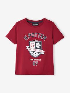 Jungenkleidung-Shirts, Poloshirts & Rollkragenpullover-Shirts-Kinder T-Shirt HARRY POTTER