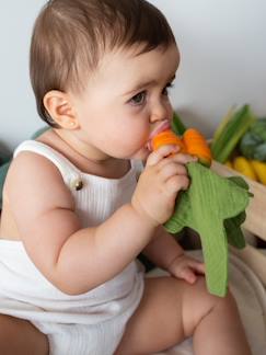 Babyartikel-Essen & Trinken-Baby Beißspielzeug und Schmusetuch CATHY KAROTTE OLI & CAROL