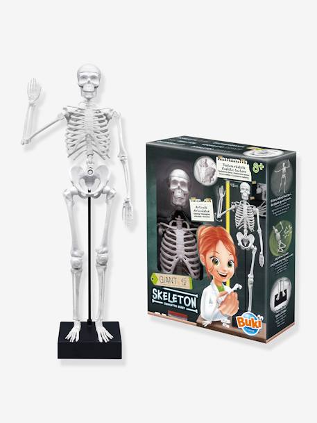 Kinder Anatomie-Skelett BUKI - mehrfarbig - 2