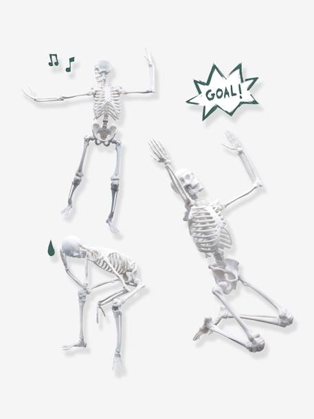 Kinder Anatomie-Skelett BUKI - mehrfarbig - 5