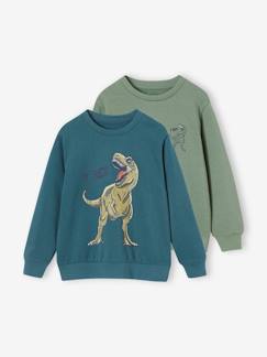 Jungenkleidung-Pullover, Strickjacken, Sweatshirts-Sweatshirts-2er-Pack Jungen Sweatshirts
