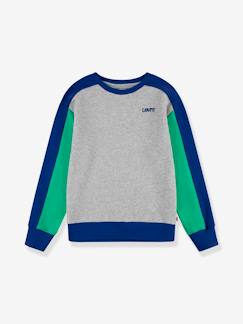 Jungenkleidung-Pullover, Strickjacken, Sweatshirts-Kinder Logo-Sweatshirt Levi's