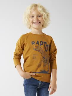 Jungen Shirt BASIC Oeko-Tex -  - [numero-image]