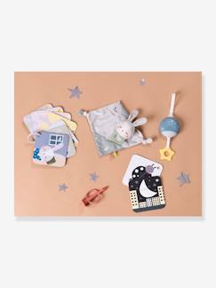 Spielzeug-Baby-Baby Geschenk-Set zum Einschlafen TAF TOYS