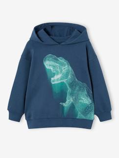 Jungenkleidung-Pullover, Strickjacken, Sweatshirts-Sweatshirts-Jungen Dino-Kapuzensweatshirt