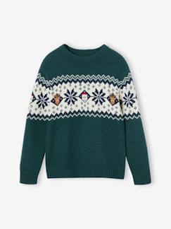 Jungenkleidung-Pullover, Strickjacken, Sweatshirts-Pullover-Kinder Weihnachts-Pullover Capsule Collection FAMILIE Oeko-Tex