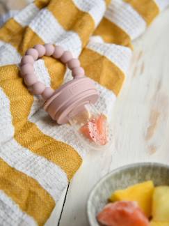 Babyartikel-Baby Probier-Schnuller, 2-in-1 Fruchtsauger & Zahnungshilfe PETIT TRUC