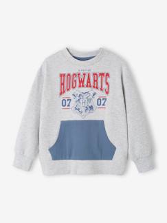 Jungenkleidung-Pullover, Strickjacken, Sweatshirts-Kinder Sweatshirt HARRY POTTER