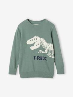 Jungenkleidung-Pullover, Strickjacken, Sweatshirts-Pullover-Jungen Pullover mit Dino Oeko-Tex