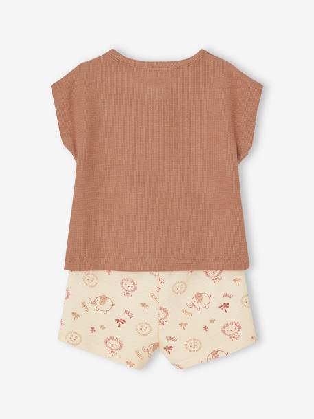 Baby-Set: Henley-Shirt & Shorts, personalisierbar Oeko-Tex - mokka - 4