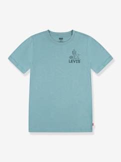 Jungenkleidung-Jungen T-Shirt mit Print Levi's, Bio-Baumwolle