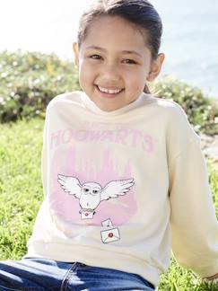 Maedchenkleidung-Pullover, Strickjacken & Sweatshirts-Sweatshirts-Kinder Sweatshirt HARRY POTTER