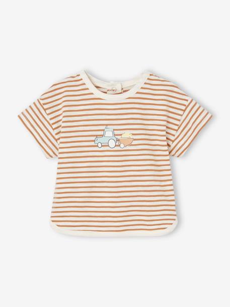 Baby-Set: T-Shirt, Shorts & Sonnenhut - cappuccino - 2