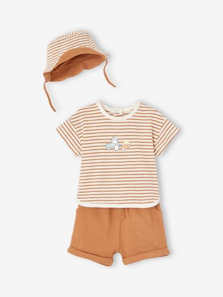 Baby-Set: T-Shirt, Shorts & Sonnenhut - cappuccino - 1