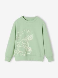 Jungenkleidung-Pullover, Strickjacken, Sweatshirts-Jungen Sweatshirt mit Print BASIC Oeko-Tex