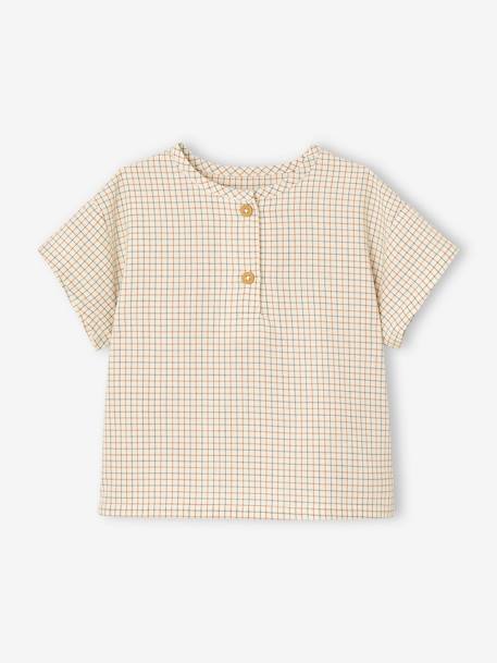 Baby-Set: T-Shirt & Shorts - graugrün - 3