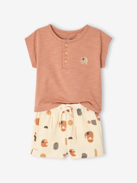 Baby-Set: T-Shirt & Shorts - mintgrün+mokka - 9