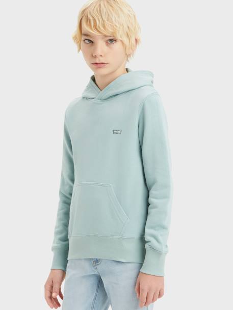 Jungen Kapuzensweatshirt LVB Mini Batwing Levi's - mandelgrün+senfgelb - 2