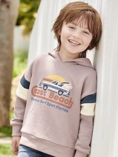 Jungen Kapuzensweatshirt mit Colorblock-Ärmeln Oeko-Tex -  - [numero-image]