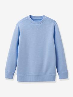 Jungenkleidung-Pullover, Strickjacken, Sweatshirts-Sweatshirts-Jungen Sweatshirt CYRILLUS