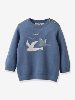 Babymode-Pullover, Strickjacken & Sweatshirts-Pullover-Baby Pullover CYRILLUS, Bio-Baumwolle/Wolle