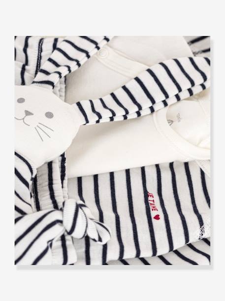 Baby-Set: Streifen-Outfit für Neugeborene & Stoffhase PETIT BATEAU - marine - 3