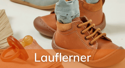 layerbanner_lauflerner